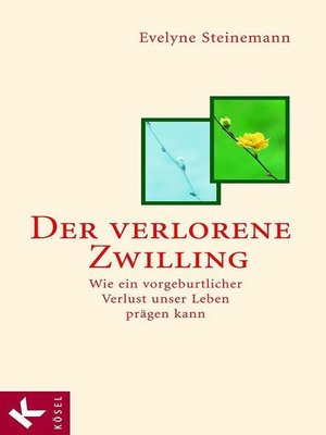 cover image of Der verlorene Zwilling